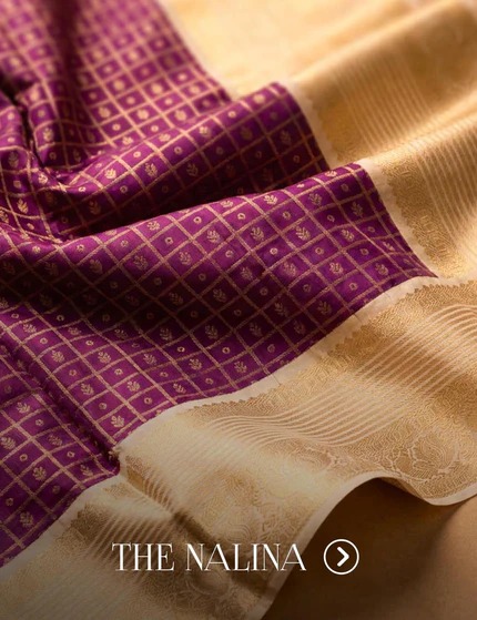 Nalina handpicked Kanchipurams